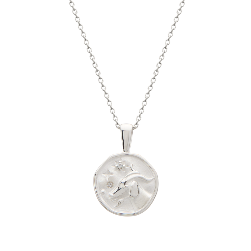 Murkani Capricorn Necklace - Zodiac series - Silver front view