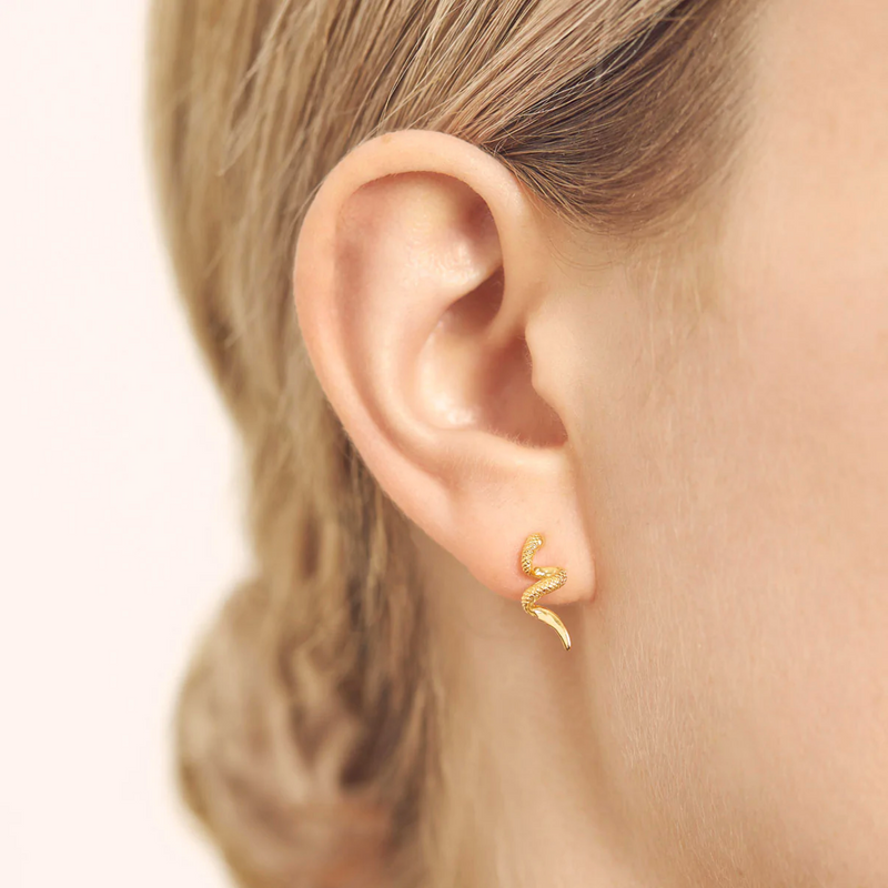 Gold Serpent Stud Earrings
