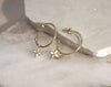 Gold Desert Flower Hoop Earrings